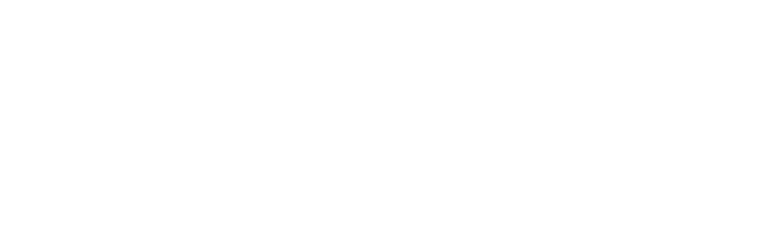 STANDARD HOUSE